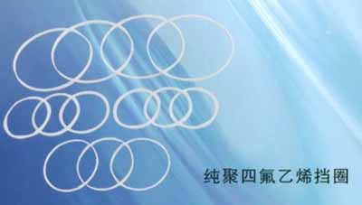 纯聚四氟乙烯挡圈